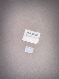 Samsung 三星 PRO Endurance 256GB microSDXC 記憶卡（附原廠正貨 SD 轉接卡）高耐用度 / 行車記錄器 / 監控專用