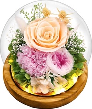 Preserved Real Flowers Gifts for HerWomenWifeMom Forever Fresh Roses in Glass Dome with LED Lights f