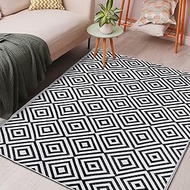 Ridota Reversible Mats, Outdoor Patio Rugs, Plastic Straw, Modern Area Rug, Floor Mat, RV, Patio, Ba