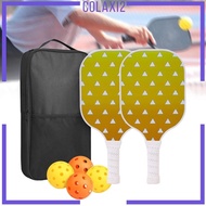 [Colaxi2] Pickleball Racket Set Accessories Pickleball Balls Racket for Yard Lawn Gift