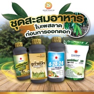 #ชุดสะสมอาหาร ก่อนการออกดอก #ดวงตะวันเพชร ช่วงใบเพสลาด ( อะมิโนทุเรียน+ซูก้าร์บีท+4-24-24+แมกนีเซียม