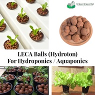 LECA Balls Hydroton Clay Pebbles for Hydroponics Aeroponics Aquaponics 2L