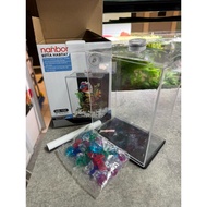 YASAM - Mini Betta Acrylic Fish Tank with Lamp and Cover | Clear Acrylic 15x10x20cm Nanbor Betta