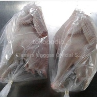 Daging Ayam Kalkun Utuh Fresh Berkualitas / Kalkun Bobot Hidup 4-5kg