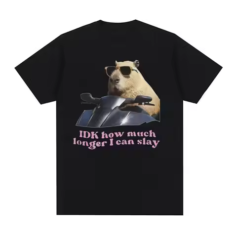 IDK How Much Longer I Can Slay Capybara Funny Meme T Shirts Men Women Retro O-Neck Fashion T-shirt C