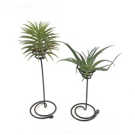 Y7RAN7 Mini Metal Vase Display Rack Balcony Holder Plant Pot Container Garden Supplies Air Plant Pot Stand