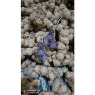 Black ginger 500grm All is Well