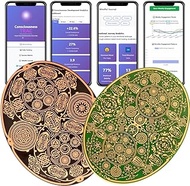 Meditation Connection to Source & Tuning Fork for Healing Balancing & Clearing ~ Powerforms 2.B ~ Ne