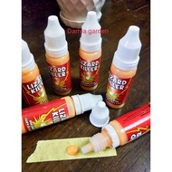 RACUN CICAK/ Ubat Cicak /  / Pembunuh Cicak / Lizard Killer