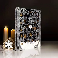 Diamine 2024 Black Christmas Ink 50ml Wilted Rose Grotto Baltic Breeze