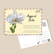 (writeswithirin) Kartu Pos/ Postcard/ Post Card Flora Indonesia - Anggrek Bulan