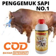 COD VITAMIN SAPI PENGGEMUK SAPI KONSENTRAT SAPI // SAPI GEMUK SAPI SEHAT SAPI POTONG SAPI PEDAGING /
