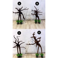 Aesthetic tree branches