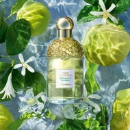 🇫🇷Guerlain Aqua Allegoria Bergamote Calabria EDT嬌蘭花草水語佛手柑淡香水 75ml/125ml