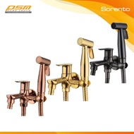 Sorento Stainless Steel 304 Gold / Rose Gold Bathroom Toilet Bidet Set SRT105-FRG / SRT104-GY / SRT1