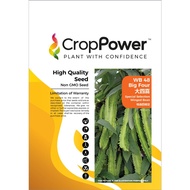 Benih Kacang Botol WB48 Big Four Special Selection Winged Bean Crop Power - ( 200g ) 👍 💯