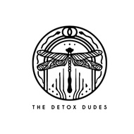 The Detox Dudes Mastery 2.0 [Video Course]