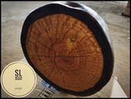 Chengal Round Edge Slab Solid Hard Wood With Natural Coat Finishing 2"inch(Thickness) x 17"inch(Diam