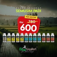 M100 Pakej Lengkap Padi Semusim (Percuma Penghantaran)