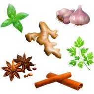 Temulawak, Temuireng, Turmeric, Ginger, Ginseng