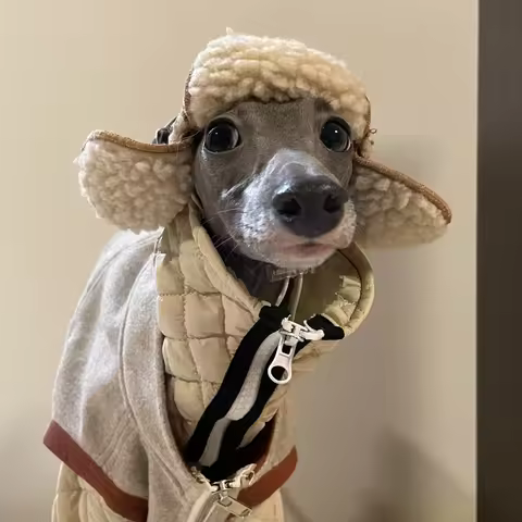 Fashion Italian Greyhound Flying Hat with Ear Hole Winter Plush Warm Dog Head Decoration Dog Hat for