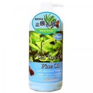 o'Naomi梨奧美 茶樹油松木油去頭屑洗髮露 800ml (Exp Sept 2027)