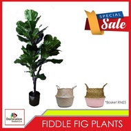 FIDDLE FIG ARTIFICIAL PLANTS