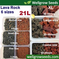 21L Lava Rock Aquarium (Red/black) 火山石(细) Pasir Malang Kaktus Cactus/Succulent/Volcanic Rock/Bio Filter/Landscape