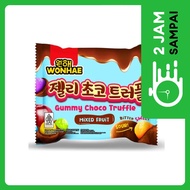 Mujigae Permen Gummy Choco Ball Truffle Mixed Fruit 35 gr