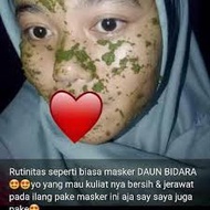 Bidara Leaves / Bidara / Bidara Leaf Powder / Herbs Suitable for Tea / Masks / Ruqyah Contents 50gr 