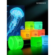 Luminous Acrylic Paint Fluorescent Paint Dark Night Glowing Paint Hand-Painted diy Hand-Painted Fluo
