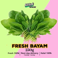 Fresh Bayam Spinach Harga Pasar Wholesale Borong 250g SAYURAN SEGAR Vegetables Murah Grocery Segar  