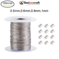 Beebeecraft 0.5mm/0.6mm/0.8mm/1mm Heavy Duty Picture Hanging Wire 304 Stainless Steel Photo Frame Hanging Wire for Mirrors Frames