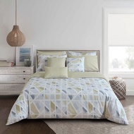 Bộ Ga kèm Vỏ Chăn Akemi Cotton Select Adore gồm 6 món (King/Queen) v3