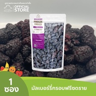 ตลาดไทย มัลเบอร์รี่ฟรีซดราย Premium Freeze Dried Mulberry เกรดส่งออก กรอบ อร่อย ฟรีซดราย