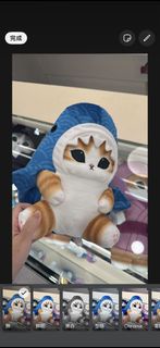 可愛貓咪鯊魚造型毛公仔