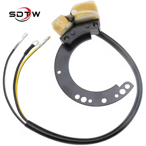 SDTW Generator Stator Coil 2Cyl 86617A20 174-6617K1 Accessories For Mercury 18/20/25/35/40 For Mercu