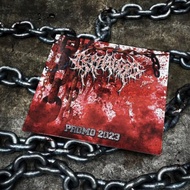 CD Cephalgia - 2023