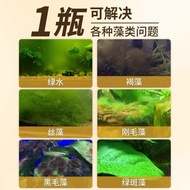 Fish Tank algae Remover Moss Remover Clean Moss Remover Brown algae Remover Artifact Green Water Gre