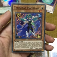 Yugioh card! Trickstar Mandrake (N)