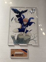 排球少年 日向翔陽 壓克力立牌