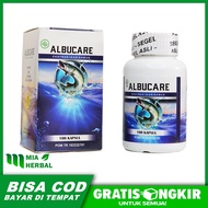 Obat Gagal Ginjal Penyakit Ginjal Kronis Obat Batu Ginjal Obat Herbal Untuk Membantu Pemulihan Cuci