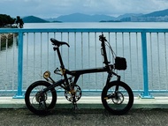 Birdy P40 大量 Ridea 改裝 碳纖軨
