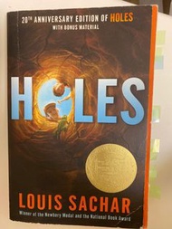 Holes novel