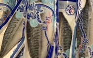 【挪威鯖魚片2盒 (特大)】口感細膩肉質紮實 脂肪豐厚