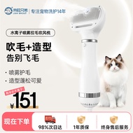 来旺兄弟宠物喷雾按摩吹风梳电动猫毛梳防飞毛狗狗洗澡吹风机拉毛造型