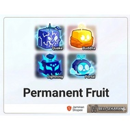 Blox Fruit(Permanent Fruits)