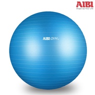 AIBI Anti-Burst Gym Ball with Inflate Pump