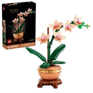 LEGO Botanicals 迷你蘭花 10343 全新現貨