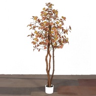 Nordic ins Style Simulation Green Plant Potted Plant Real Wooden Pole Fake Tree Eucalyptus Tree Larg